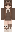 wellje Minecraft Skin