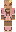 syringez Minecraft Skin