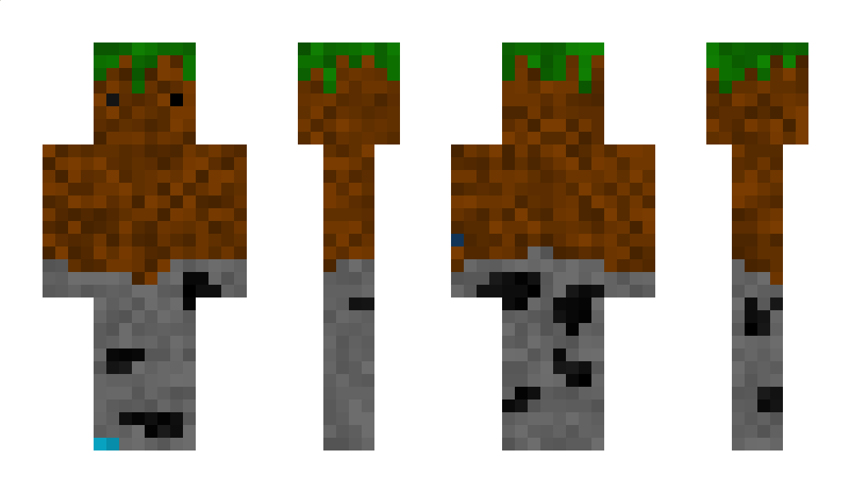 DirtBlock100 Minecraft Skin