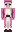 koalul Minecraft Skin