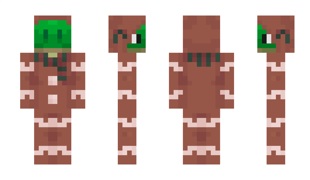 shnug Minecraft Skin