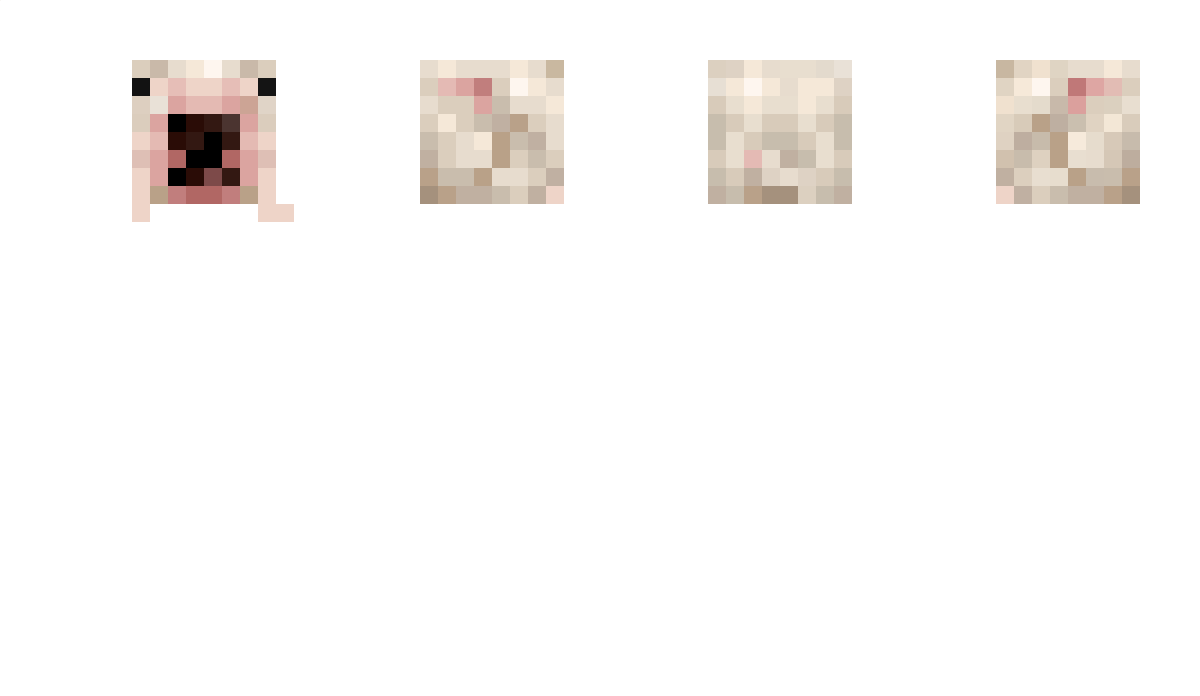 asspixel Minecraft Skin