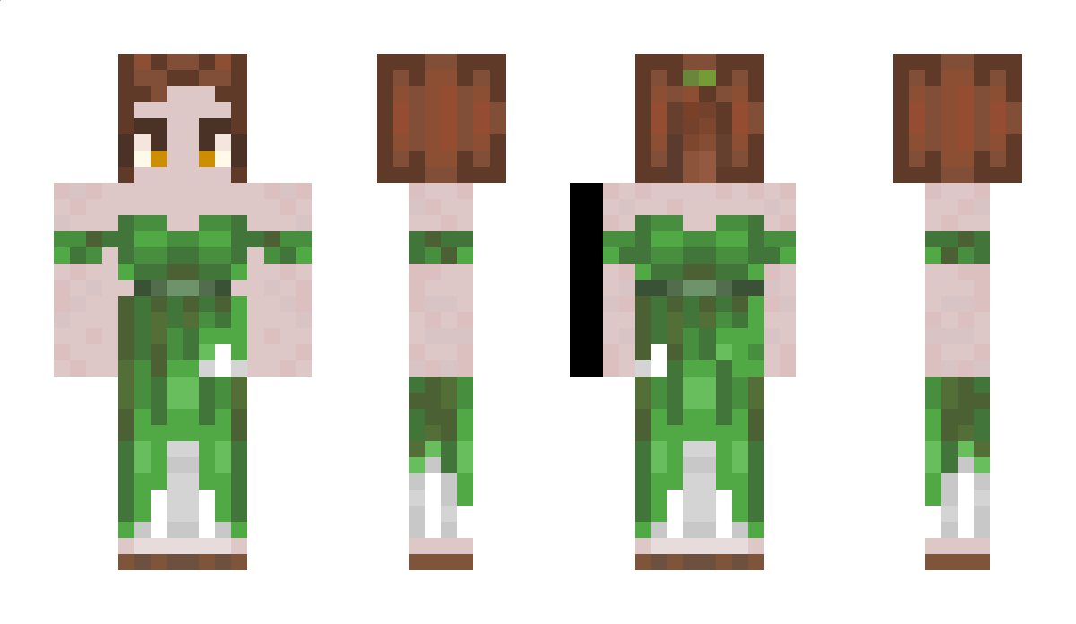 Bracmas Minecraft Skin