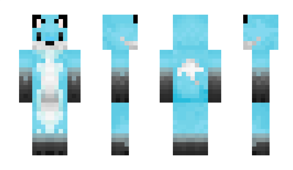 Roverstar Minecraft Skin