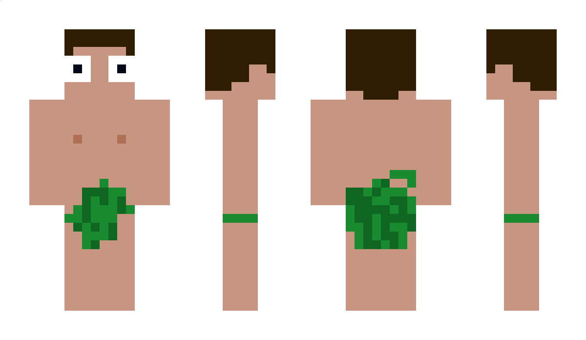 LoutishSnow9305 Minecraft Skin