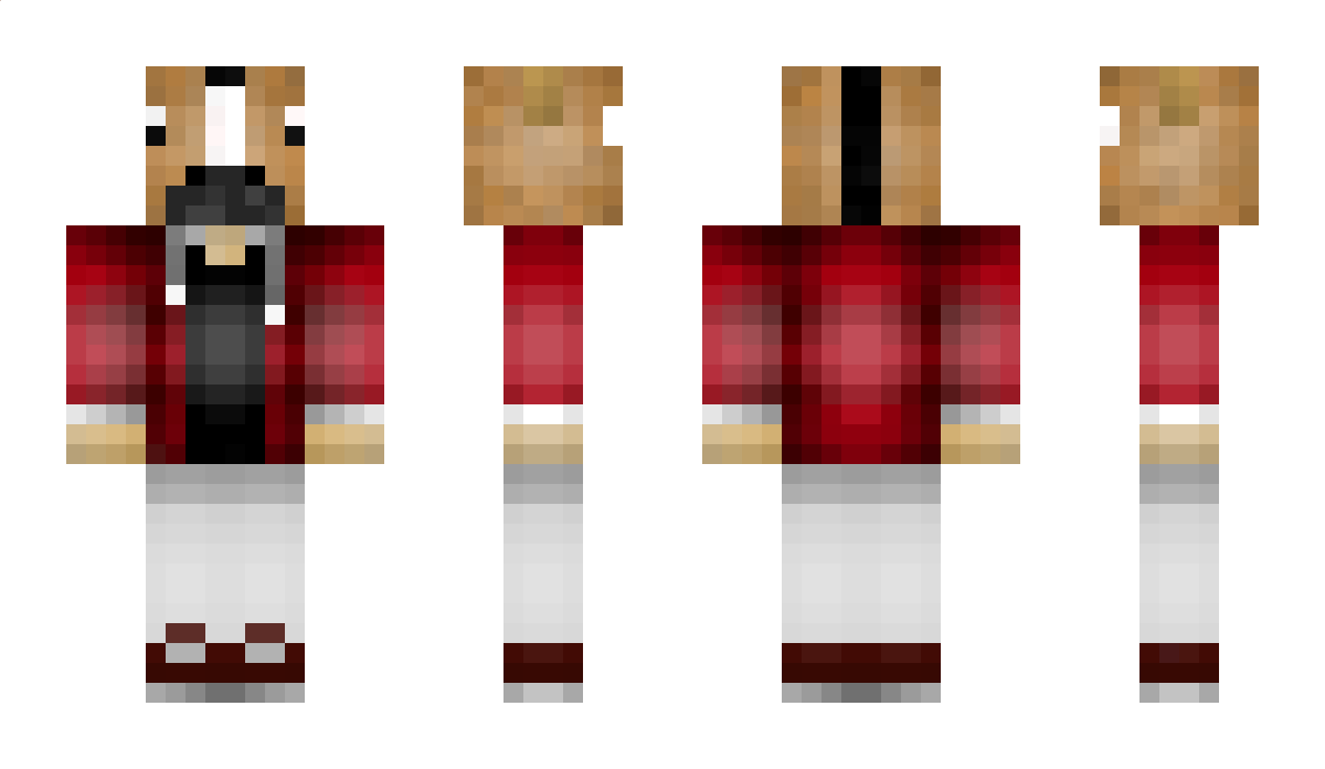 MCHD011 Minecraft Skin