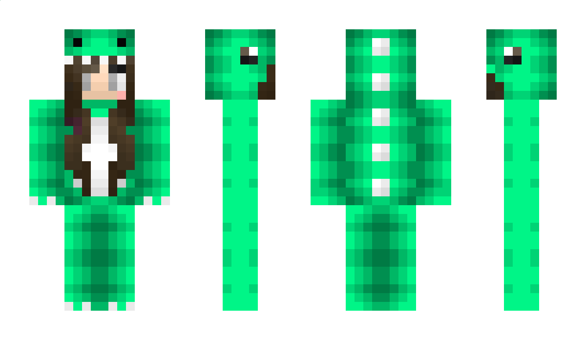 Course Minecraft Skin