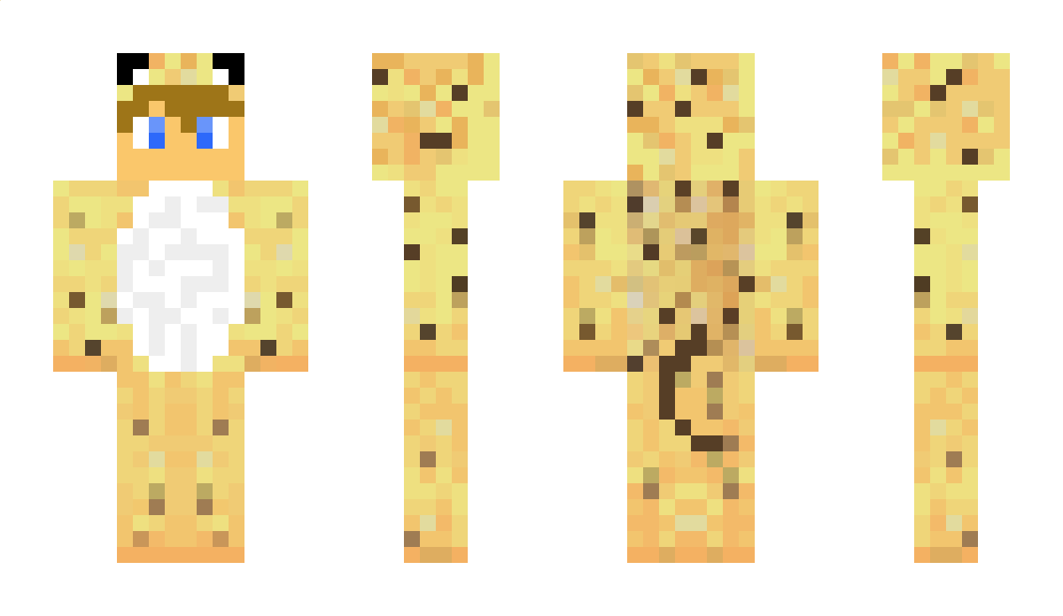 Kitcat Minecraft Skin