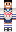 Honshu__ Minecraft Skin
