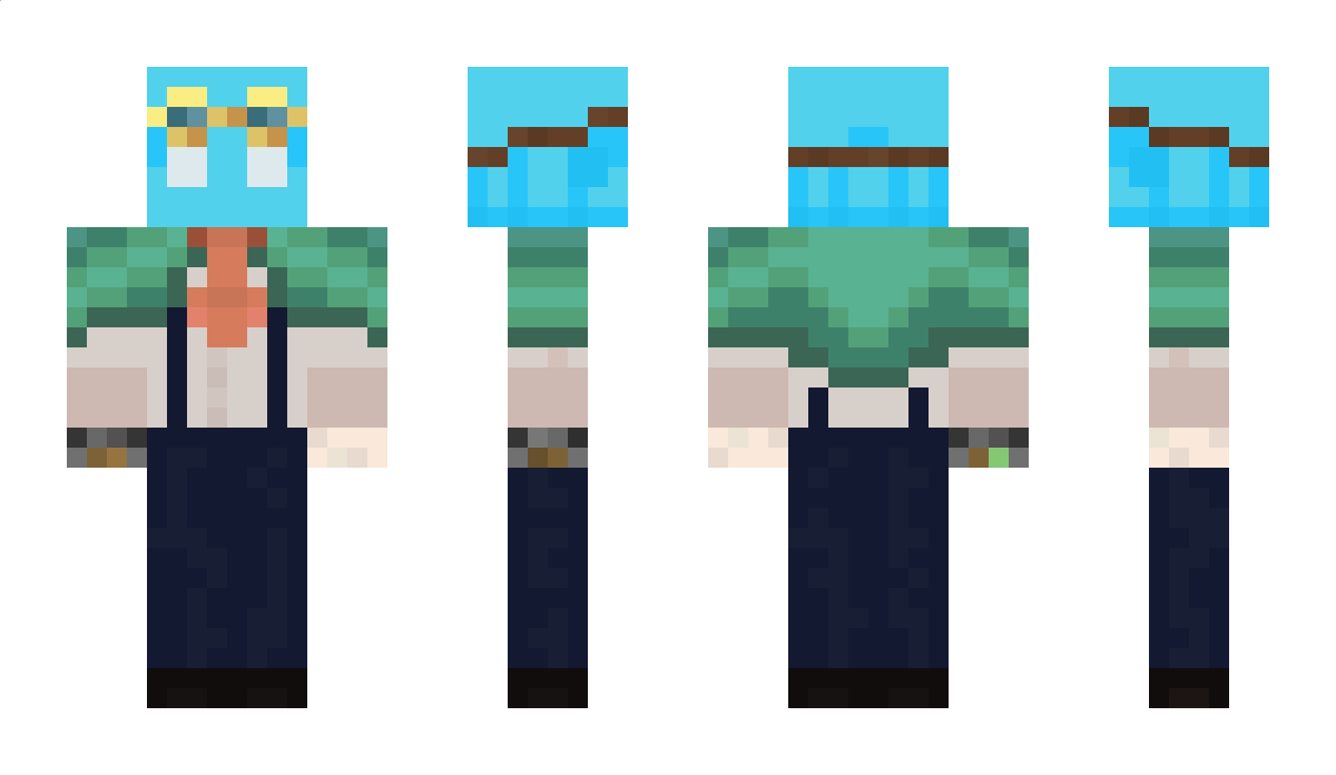 Silver895 Minecraft Skin