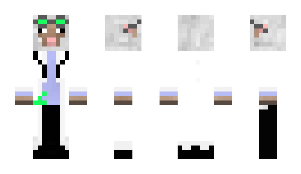 Raggy Minecraft Skin