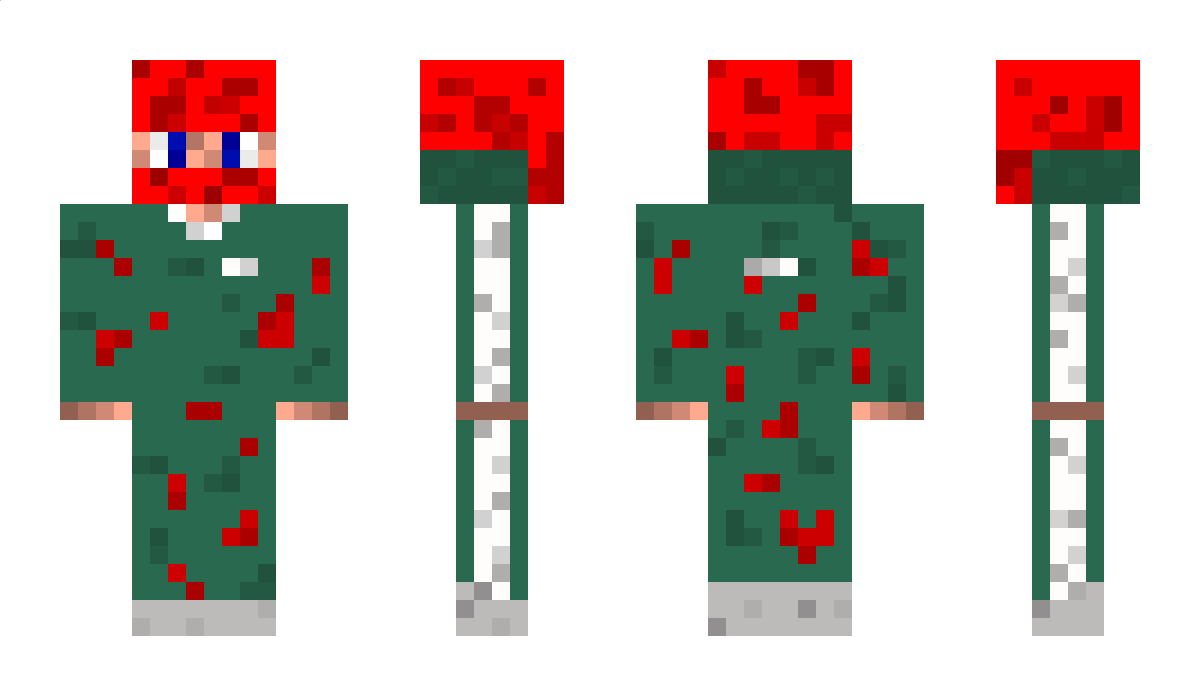 Bartas19 Minecraft Skin