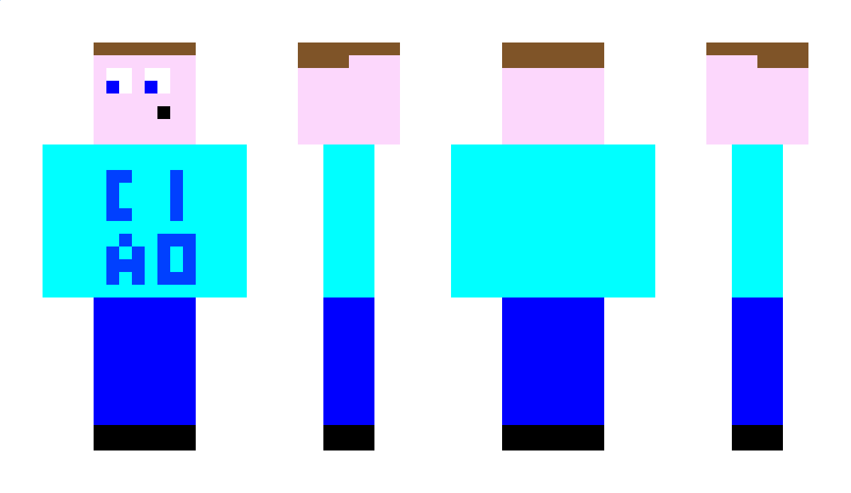 BlockTom123 Minecraft Skin