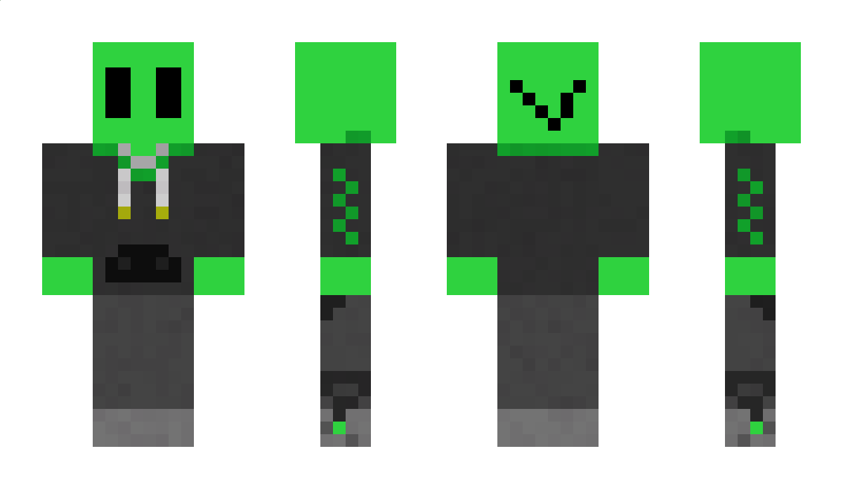 BeegFatCat Minecraft Skin