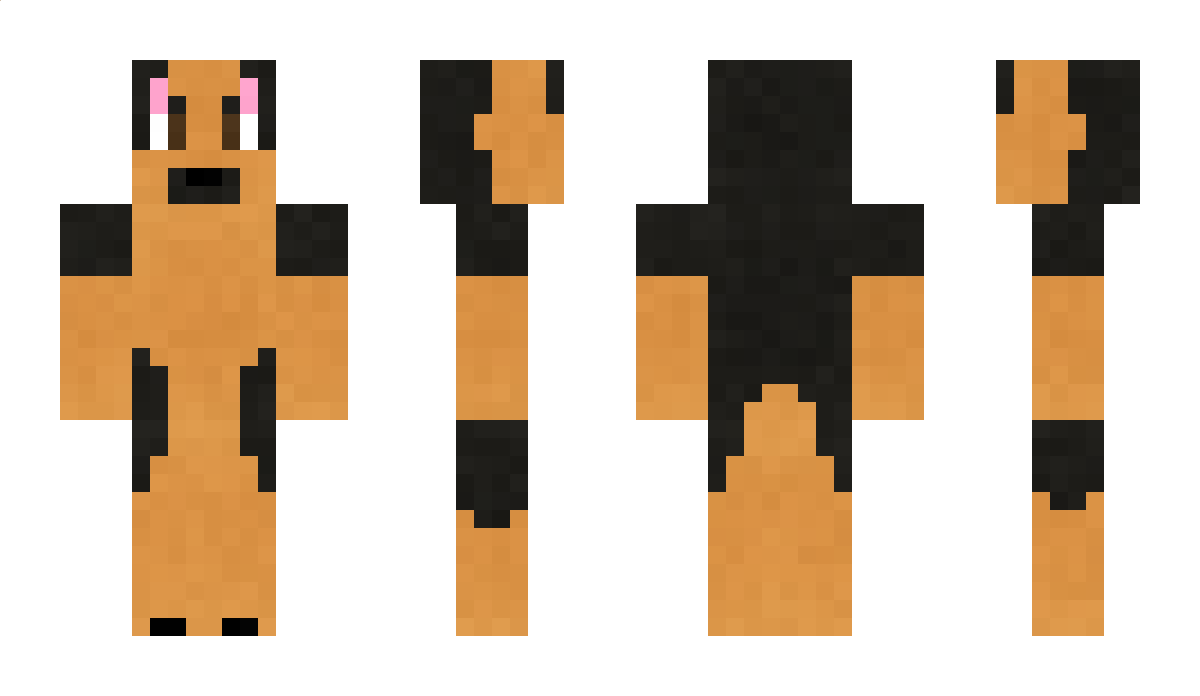 SgtBlazer Minecraft Skin