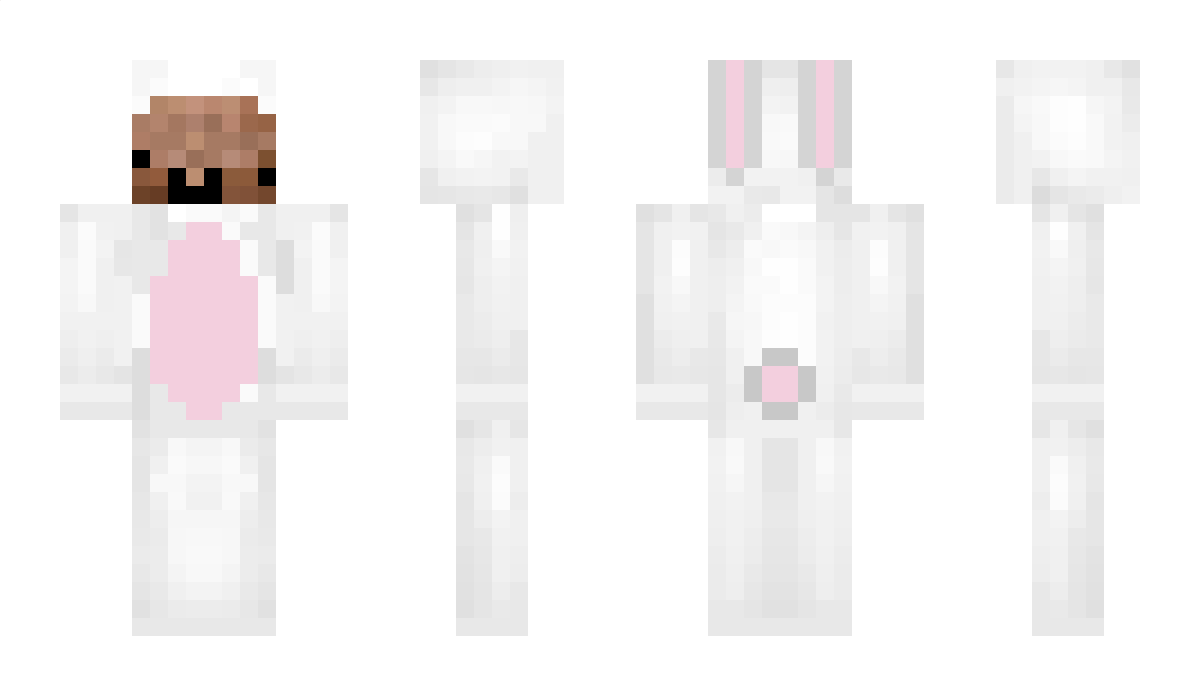 RingSman Minecraft Skin