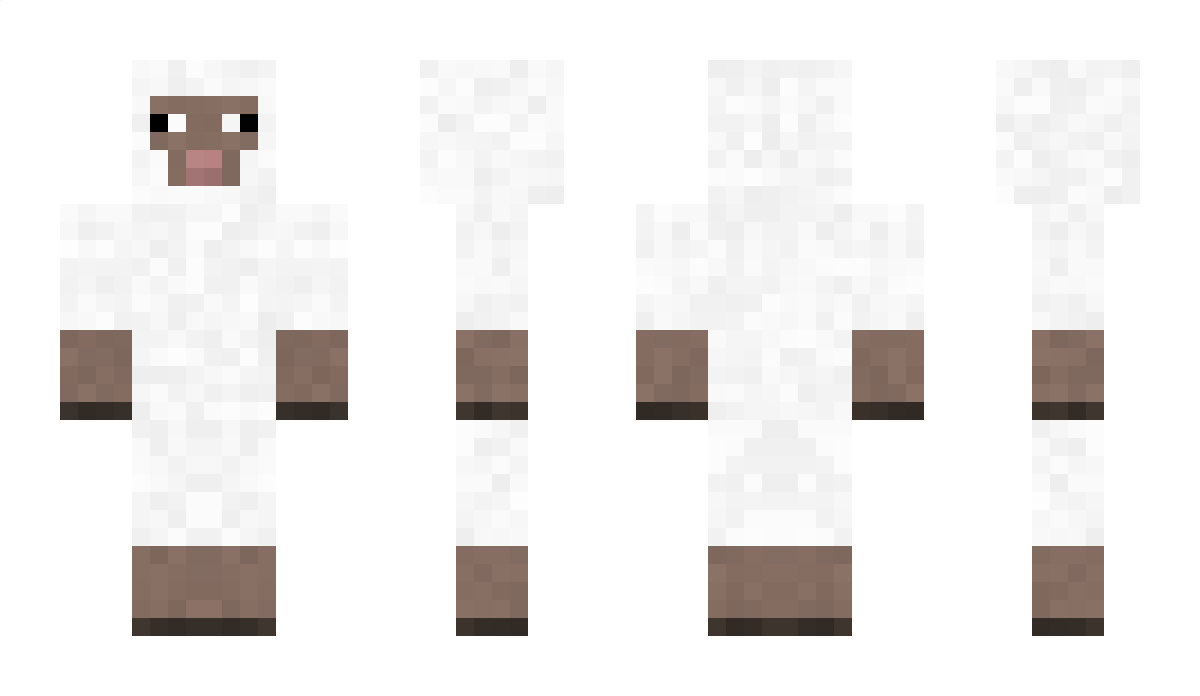 WBR Minecraft Skin