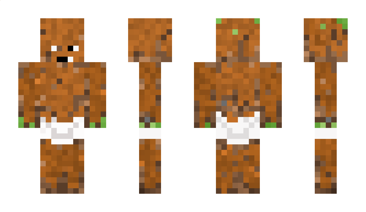 drit Minecraft Skin