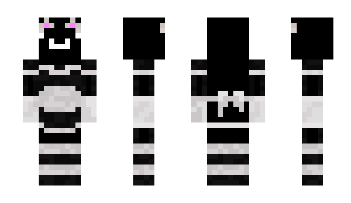 pro6587365 Minecraft Skin