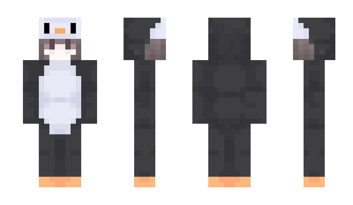 Lhz271 Minecraft Skin