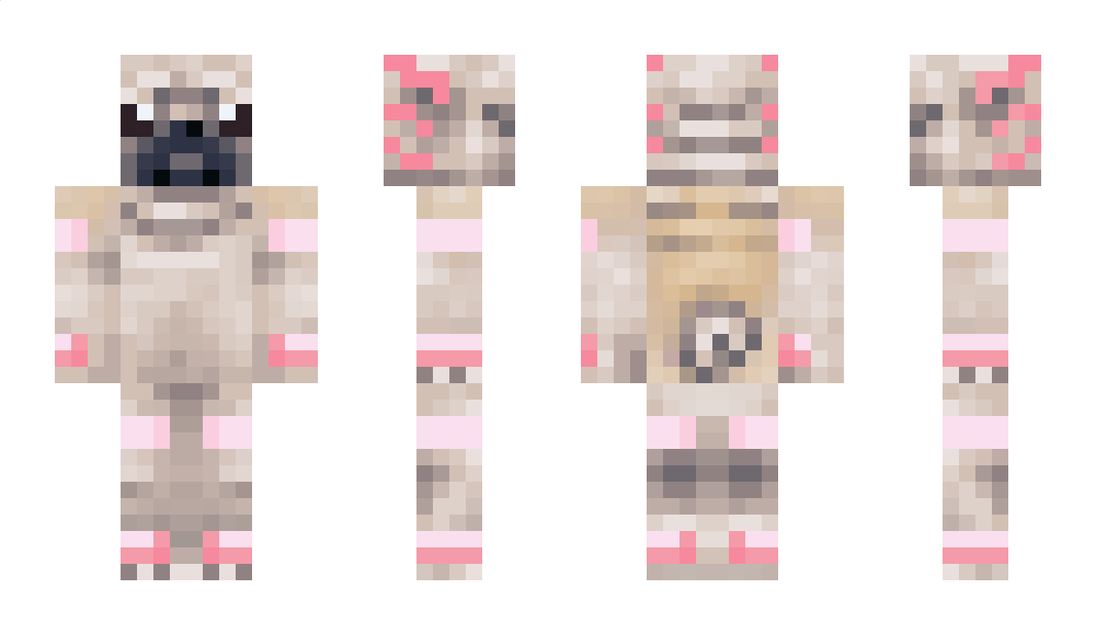 Pizzapug22 Minecraft Skin