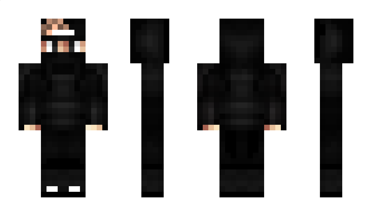 FlyFox Minecraft Skin