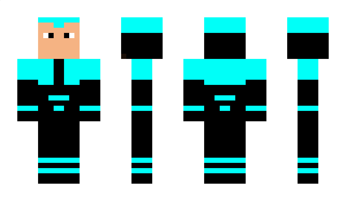 Terlity Minecraft Skin