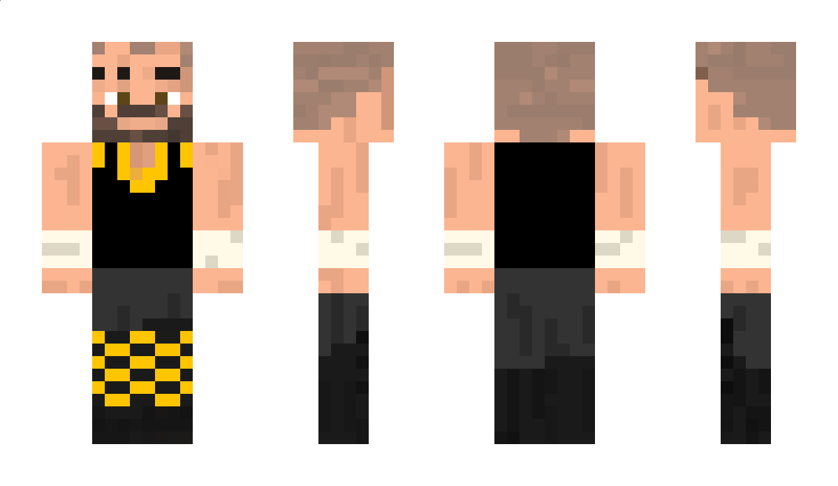 wiserd Minecraft Skin