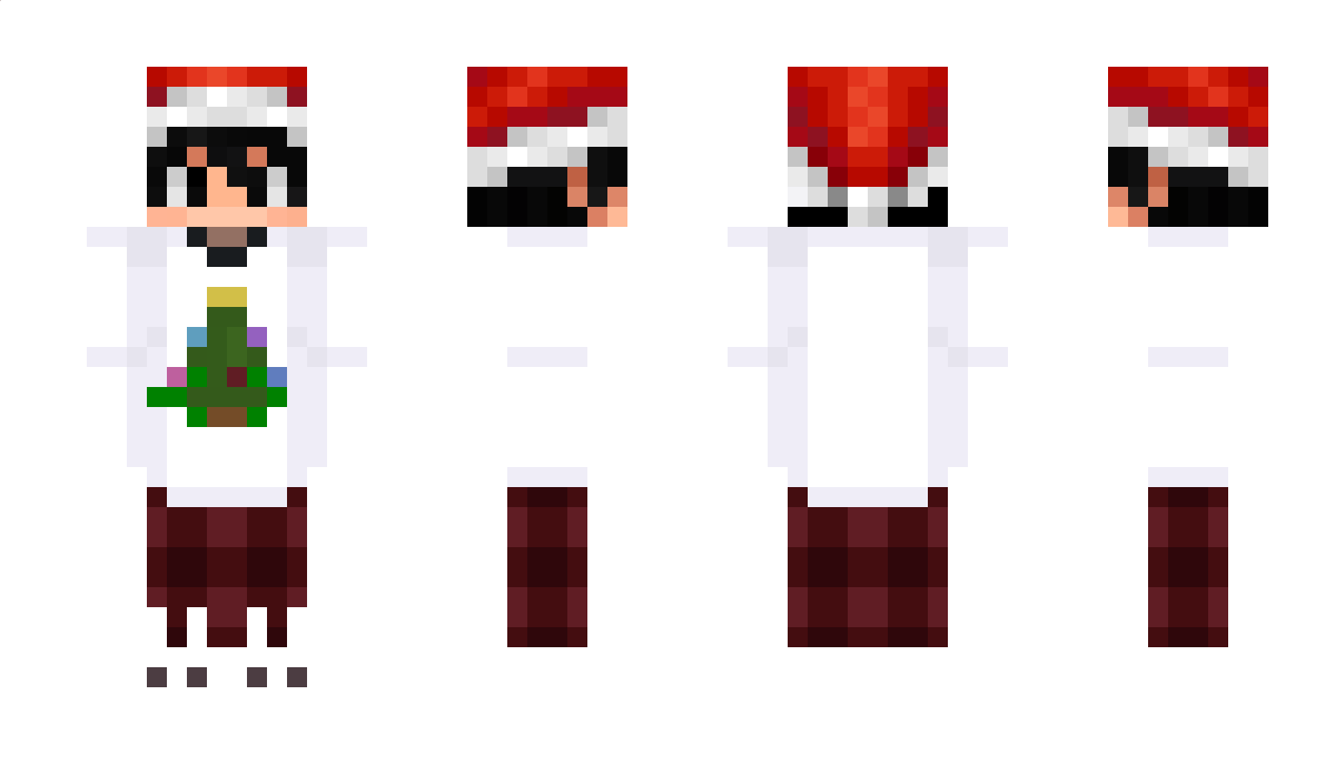 Turcj4 Minecraft Skin