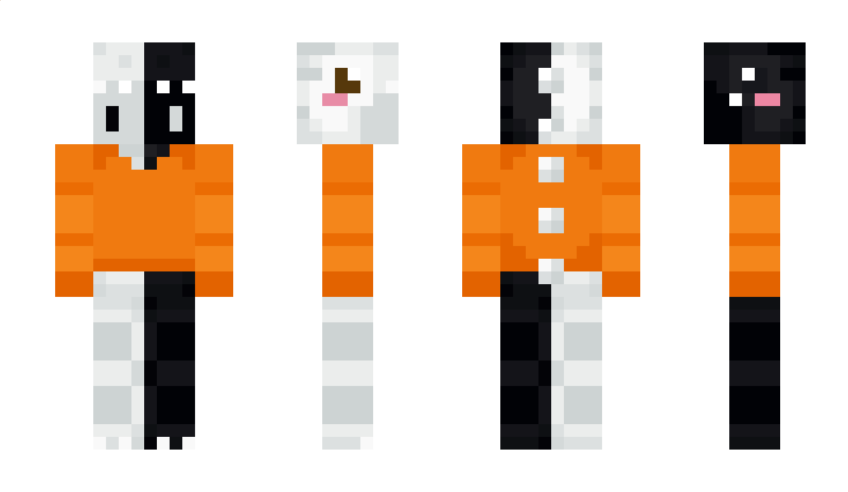 SayRys_PL Minecraft Skin