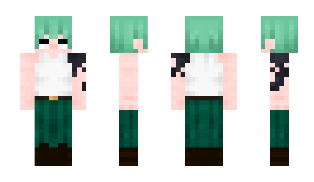 FonkiePonkes Minecraft Skin