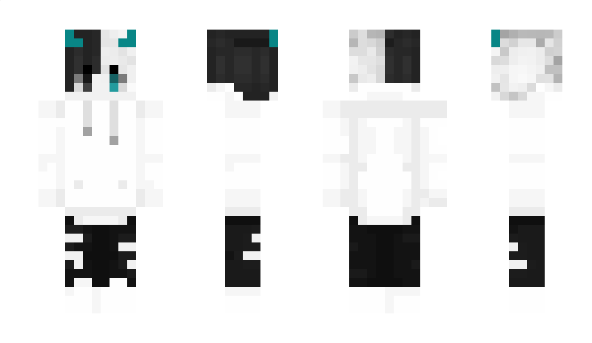 Einrain Minecraft Skin