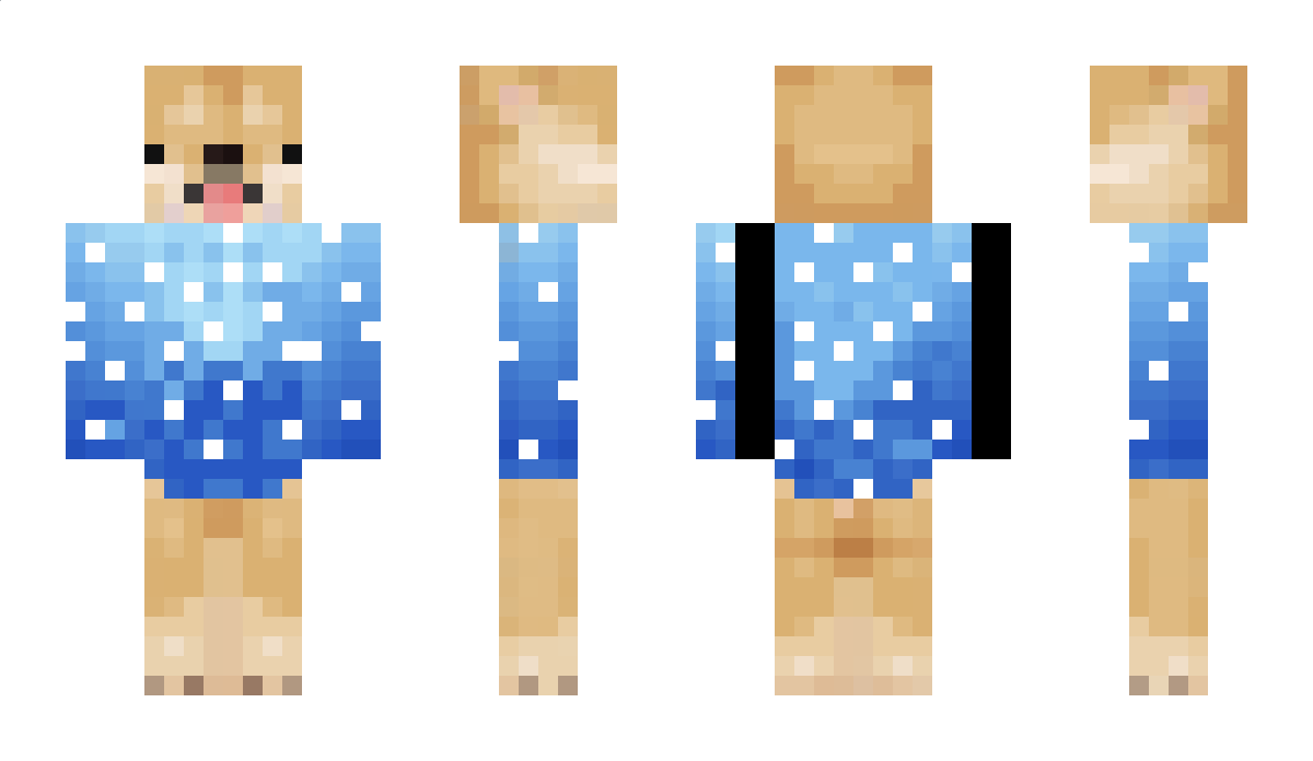 likeitor Minecraft Skin