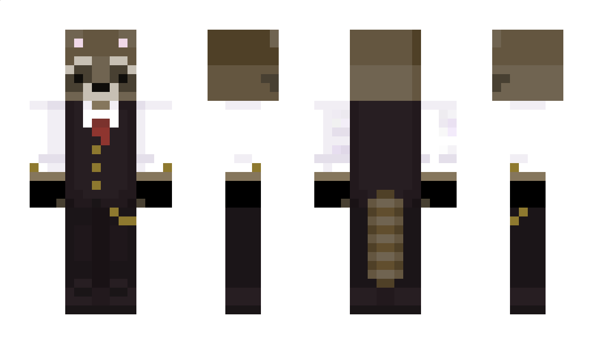 RandomWaschbar Minecraft Skin