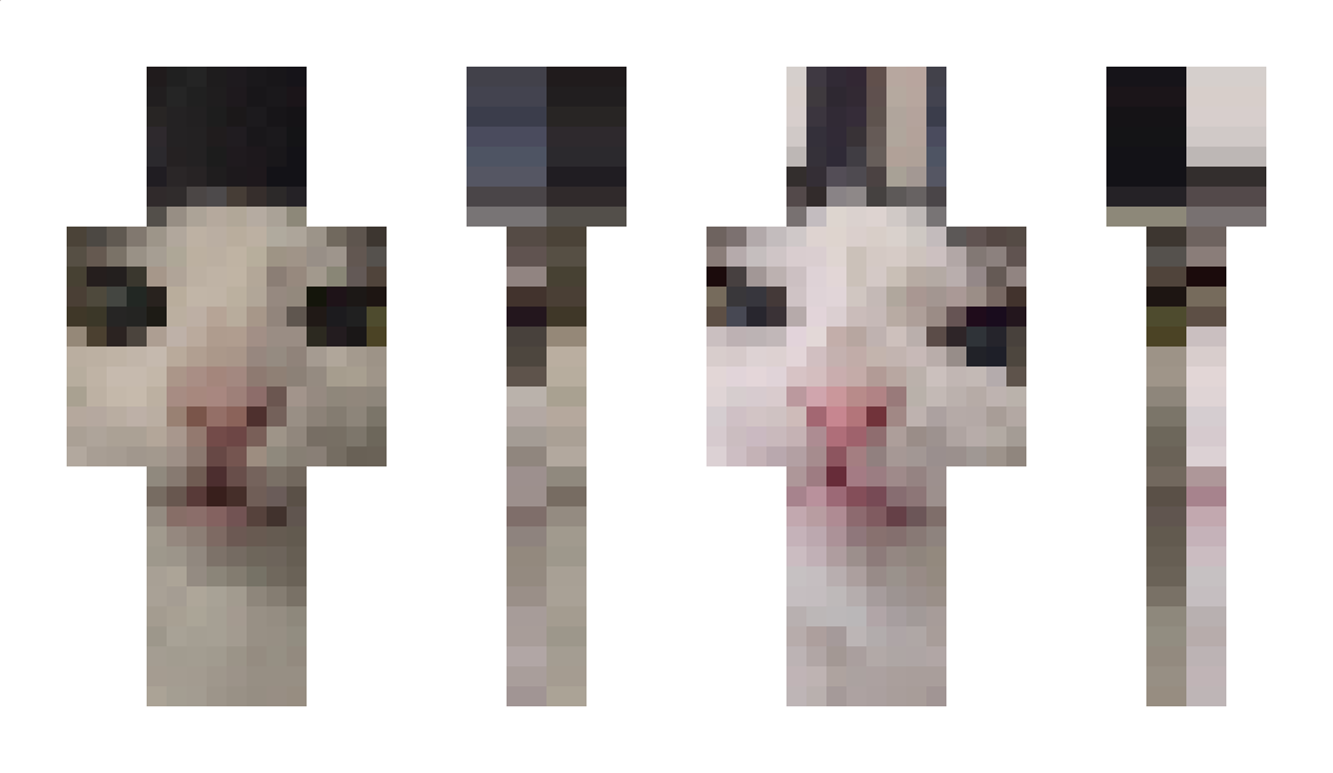 monkeycatluna Minecraft Skin