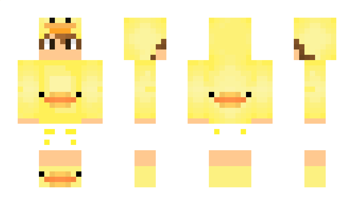 ______DUCK______ Minecraft Skin