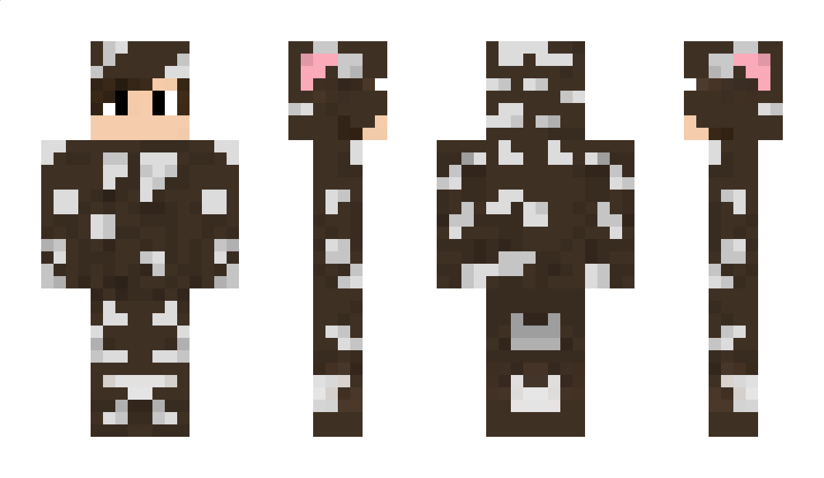 Hewaltasy Minecraft Skin