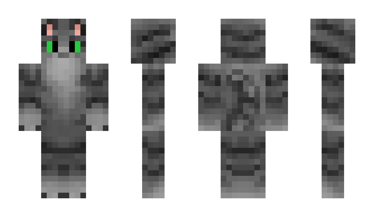 DatOneGreyCat Minecraft Skin