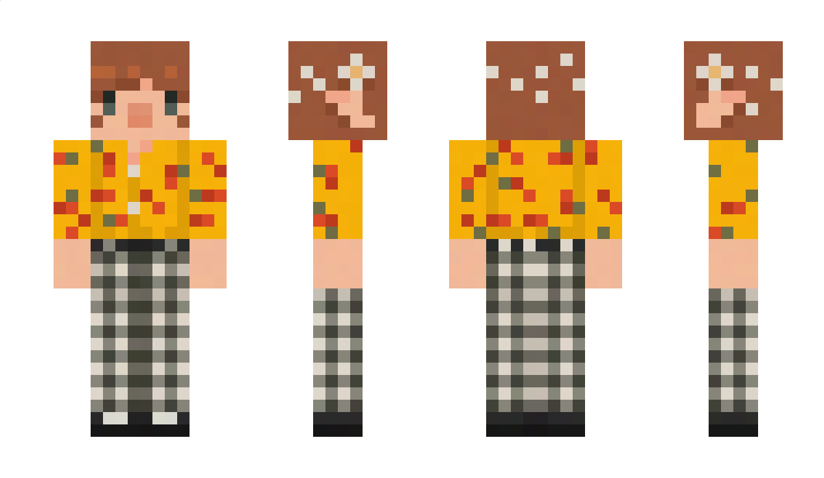 saemimir Minecraft Skin