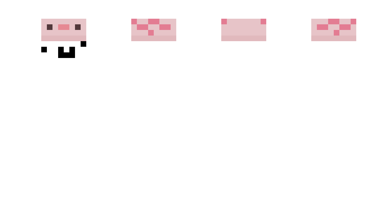 VeriNice Minecraft Skin