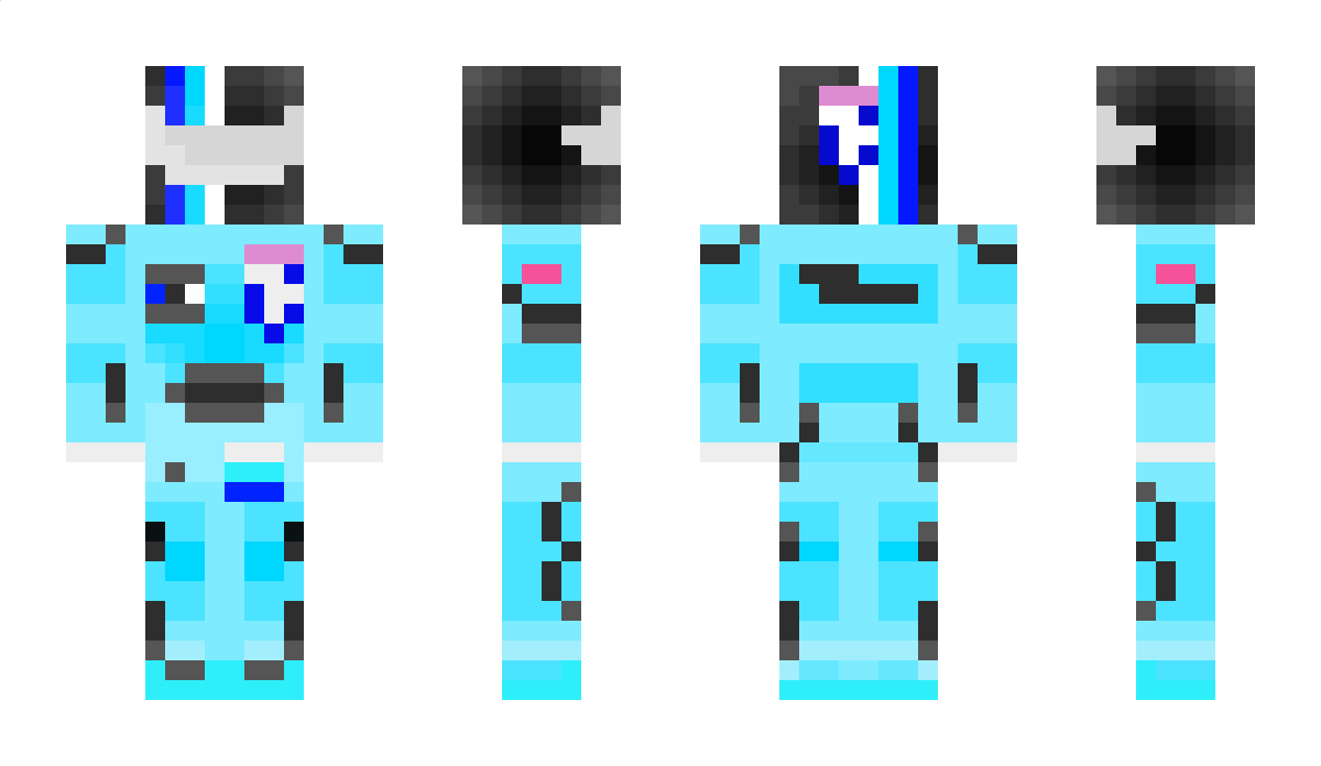 PDogCA Minecraft Skin
