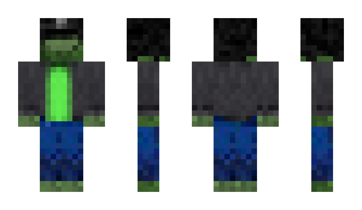 Saniguess Minecraft Skin