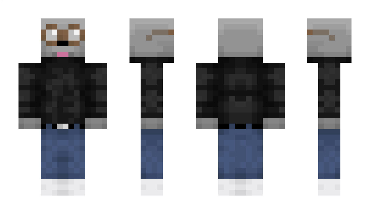 Chillbear Minecraft Skin