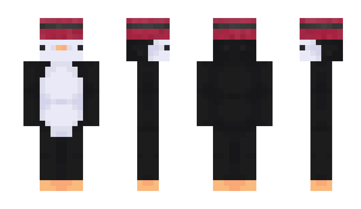 Michion1 Minecraft Skin