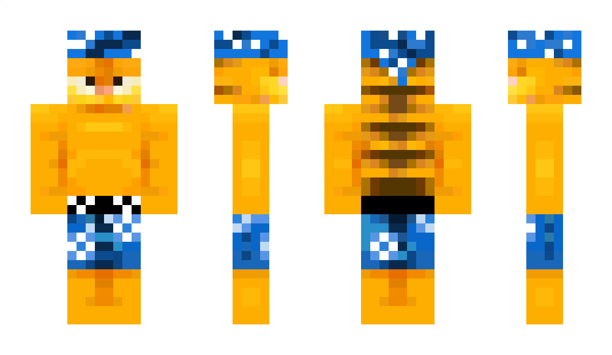 ChoosyKnight360 Minecraft Skin