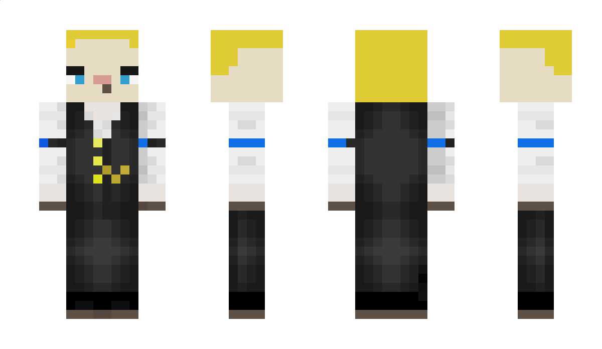 Broniarz Minecraft Skin