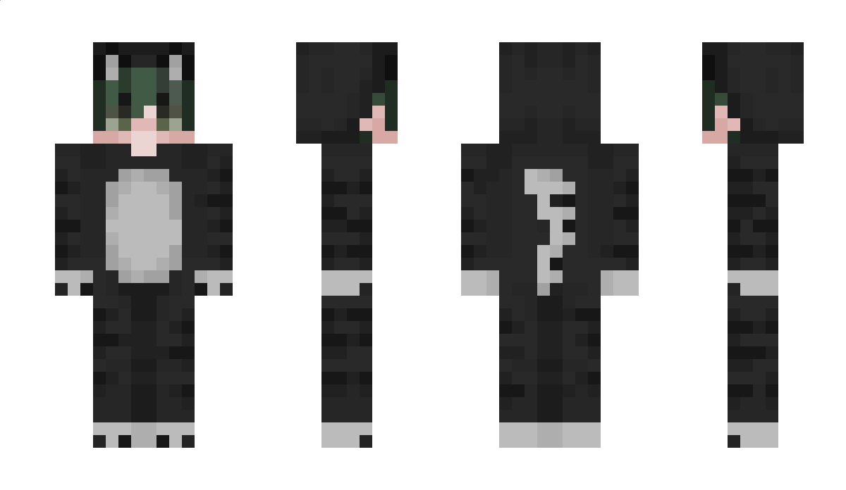 ZenSi_ Minecraft Skin