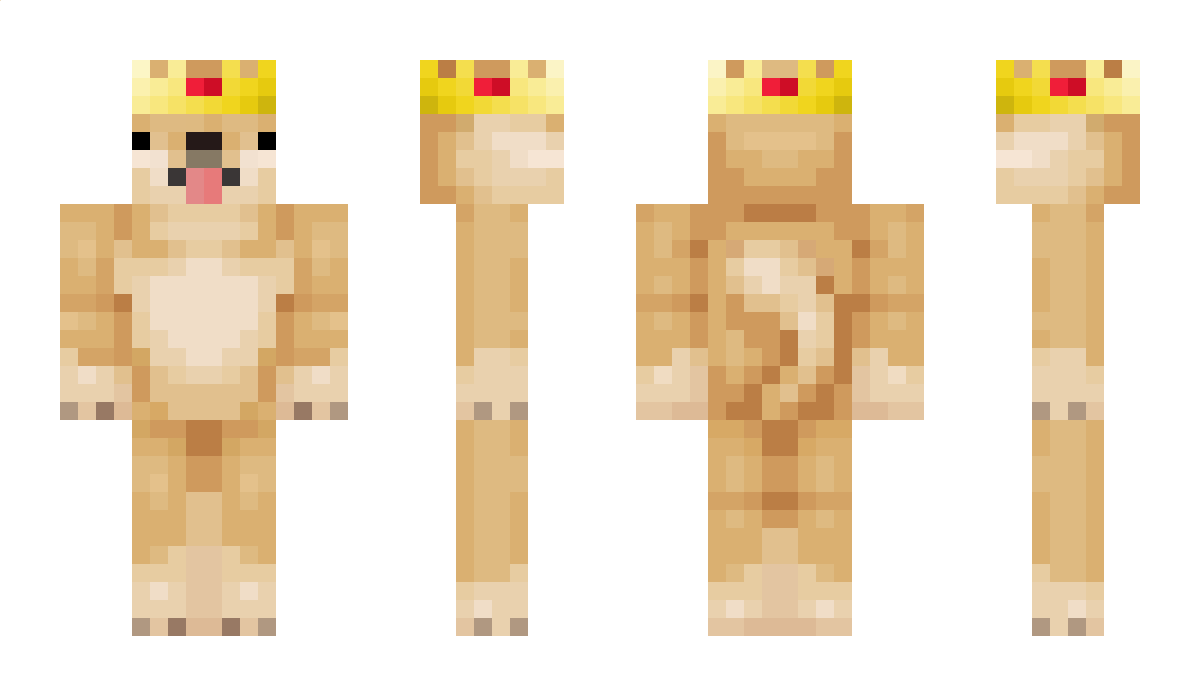 IANTHEMOOSEKING Minecraft Skin