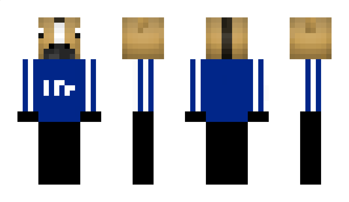 IndianHT3 Minecraft Skin