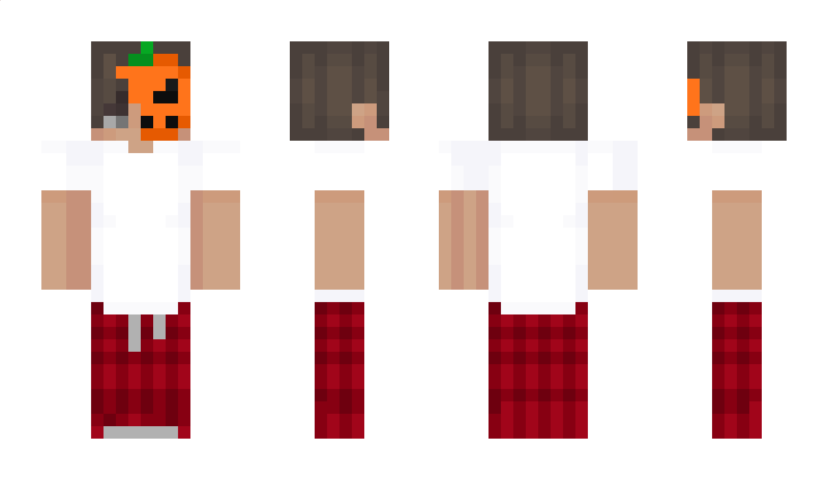 qtmpl Minecraft Skin